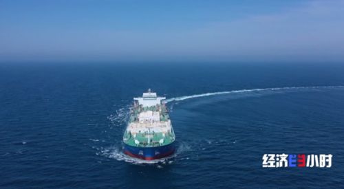 流動(dòng)的海上牧場(chǎng) 探秘10萬(wàn)噸級(jí)智慧漁業(yè)養(yǎng)殖工船深海作業(yè)與航空國(guó)際貨運(yùn)聯(lián)動(dòng)