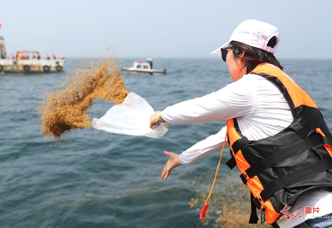 青島 7000多萬(wàn)單位魚蝦增殖，打造堅(jiān)實(shí)“海上糧倉(cāng)”